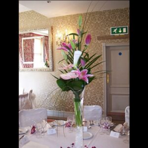 Venue Arrangements