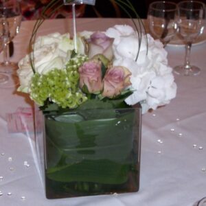 Venue Arrangements