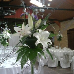 Venue Arrangement
