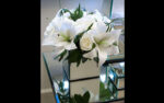 Venue Arrangement