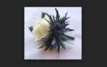 Rose & Eryngium Button Hole