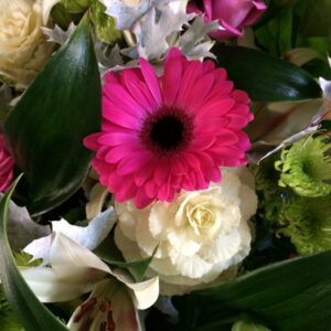 Florists Seasonal Choice